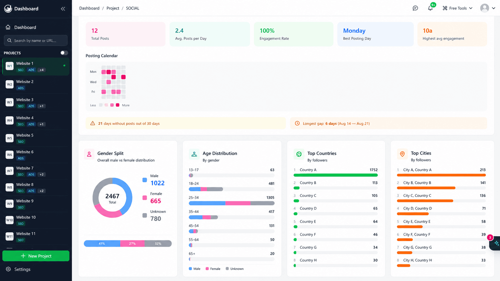 Social reporting — posting calendar, audience gender, age, countries and cities